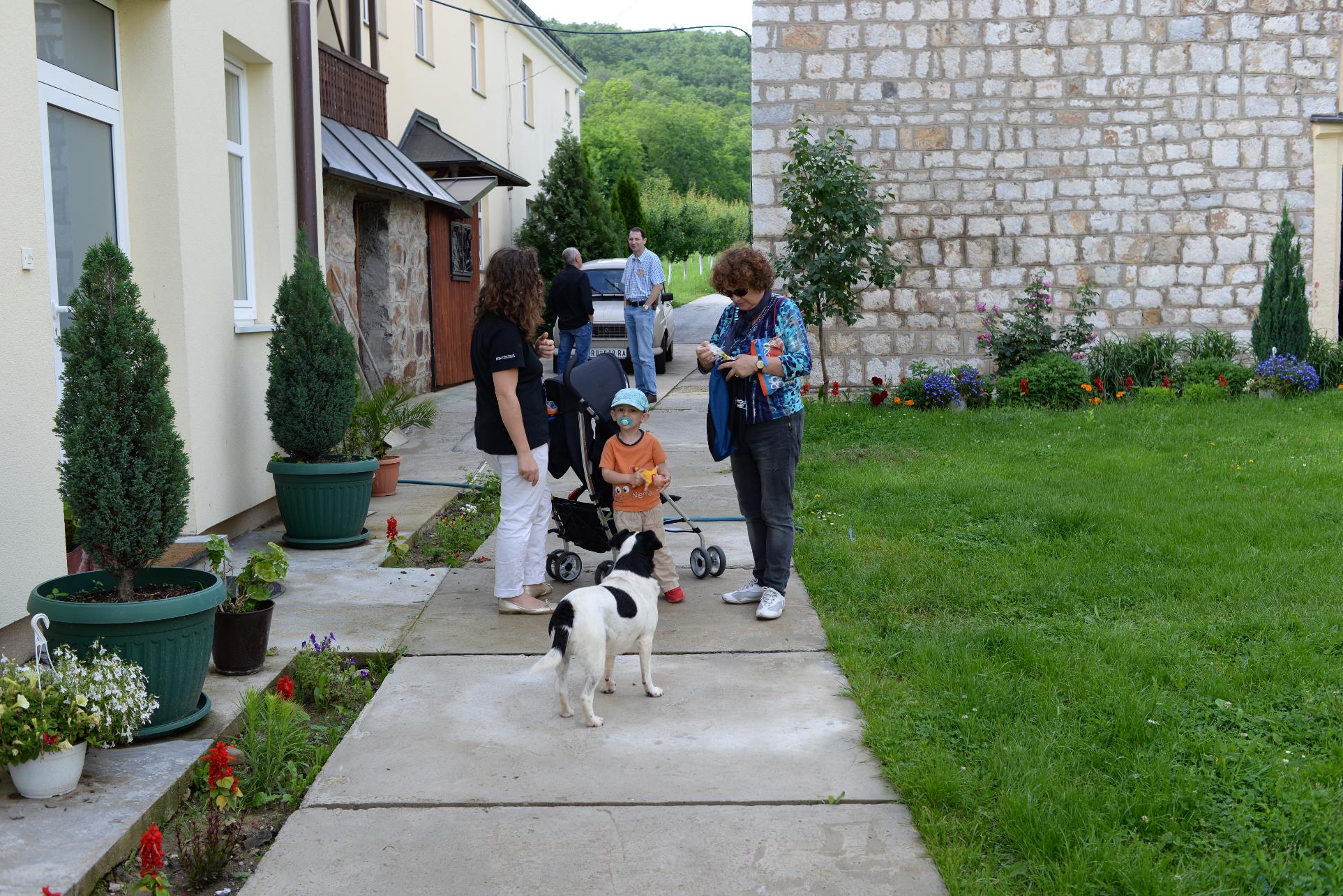 A dog walking on a sidewalk in front of a house

Description automatically generated