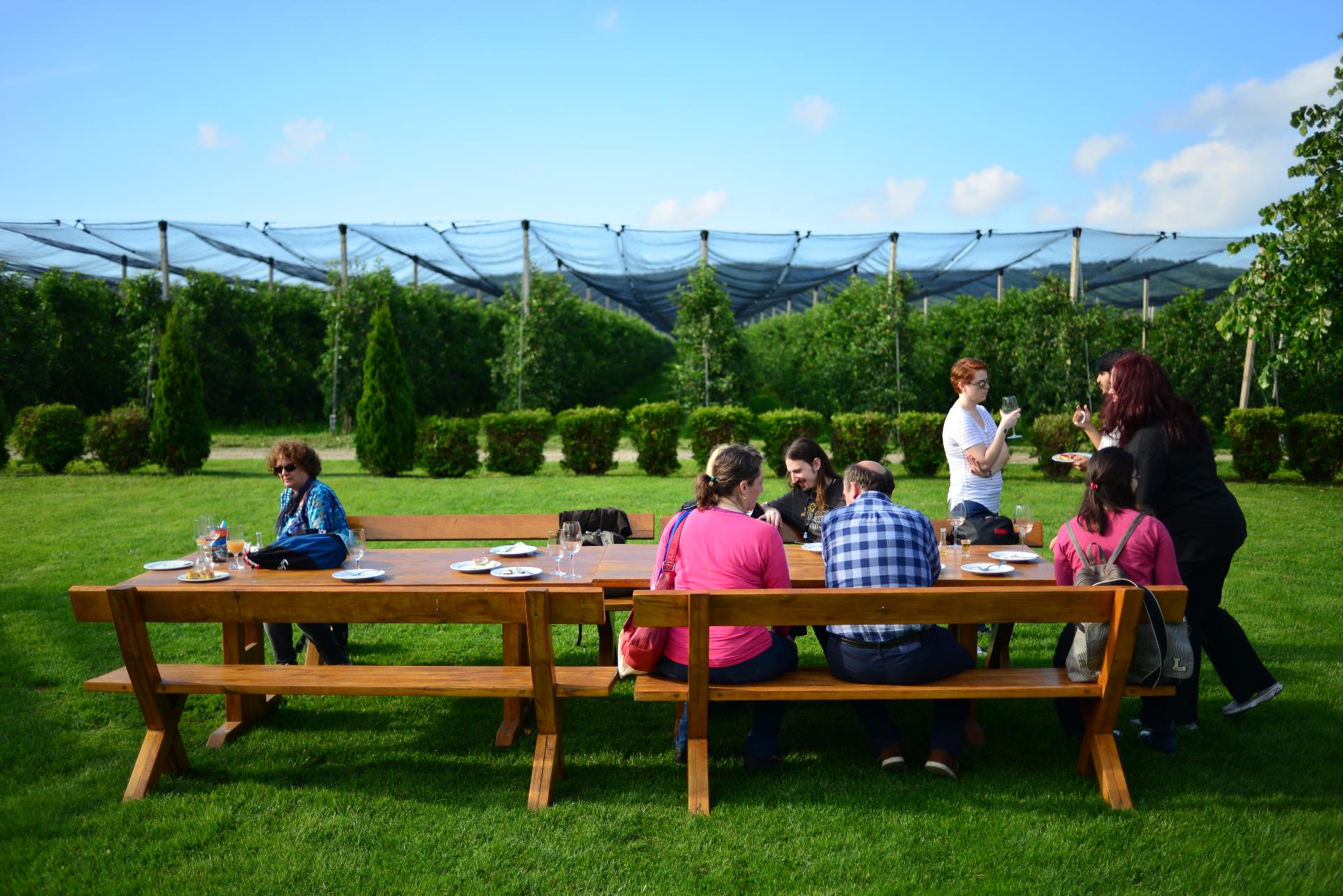 A group of people sitting at a picnic table

Description automatically generated